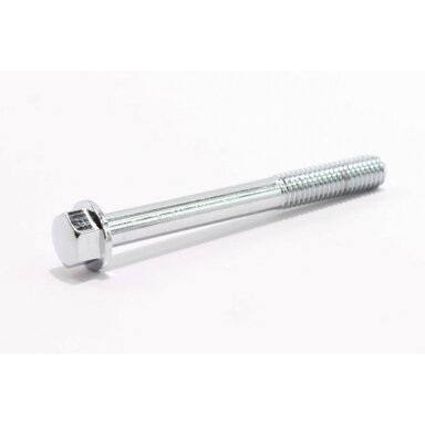 0010-021018-0010 BOLT M6x55