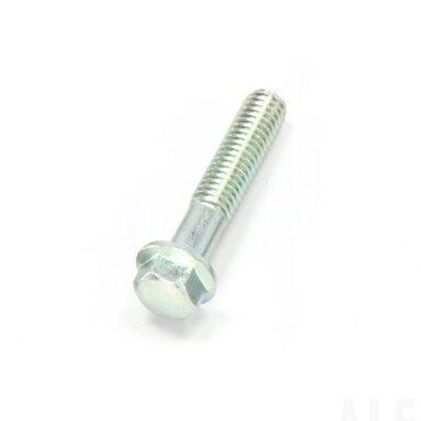 0010-060012-0010 Bolt M6x30 (0010-060012-0030)