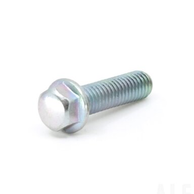 0010-080013-0010 BOLT M6x22 (0010-080013-0030)