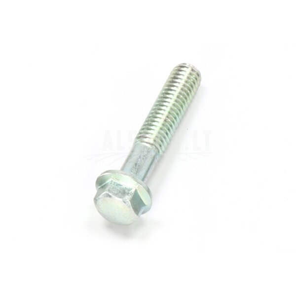 0010-060012-0010 Bolt M6x30 (0010-060012-0030) 0010-060012-0010 Bolt M6x30 (0010-060012-0030)