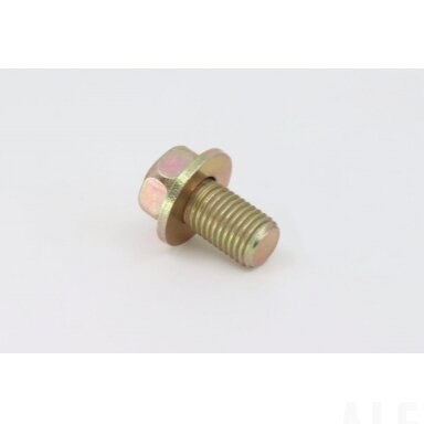 0180-313100-0010 BOLT M10x1.25x18