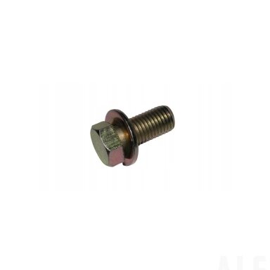 0181-313100-0010 BOLT M10x1.25x22