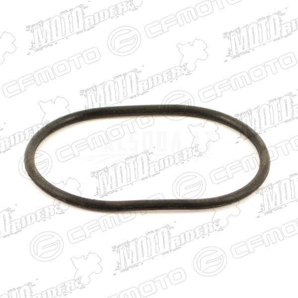 0180-021003 SEAL RING 0180-021003 SEAL RING