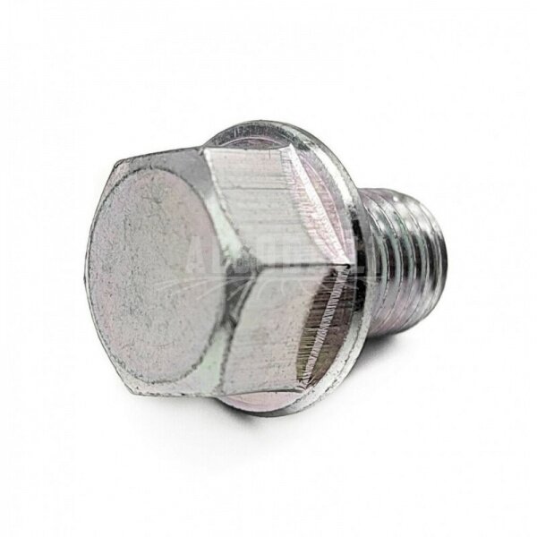 0180-312100 Bolt M10x1.25 0180-312100 Bolt M10x1.25