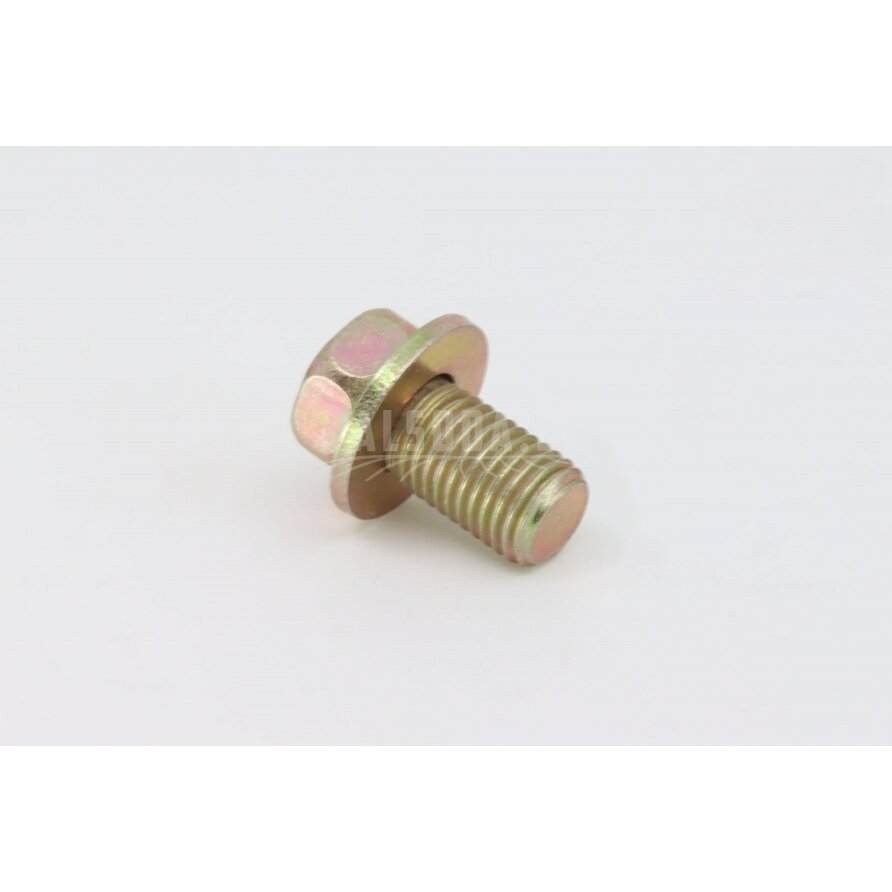 0180-313100-0010 BOLT M10x1.25x18 0180-313100-0010 BOLT M10x1.25x18