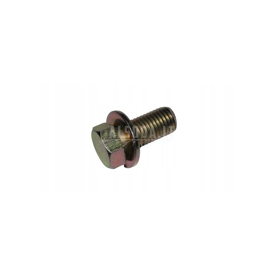 0181-313100-0010 BOLT M10x1.25x22