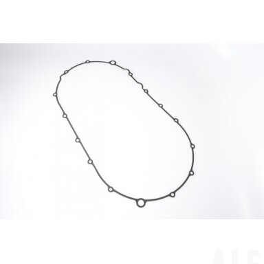 0800-013102-10000  GASKET, CVT CASE COVER