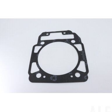 0800-023002-00001 0800-023002 gasket, cylinder