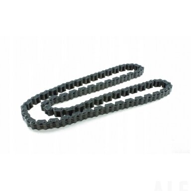 0800-024100 Timing chain