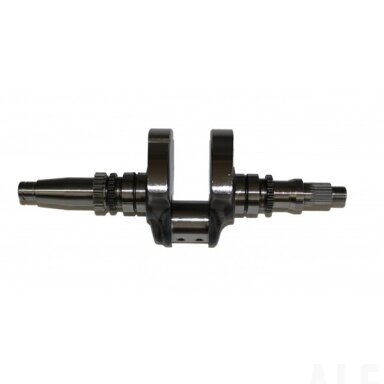 0800-041000-10011 CRANKSHAFT