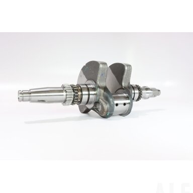 0800-041000-10021 CRANKSHAFT