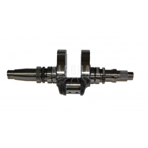 0800-041000-10011 CRANKSHAFT