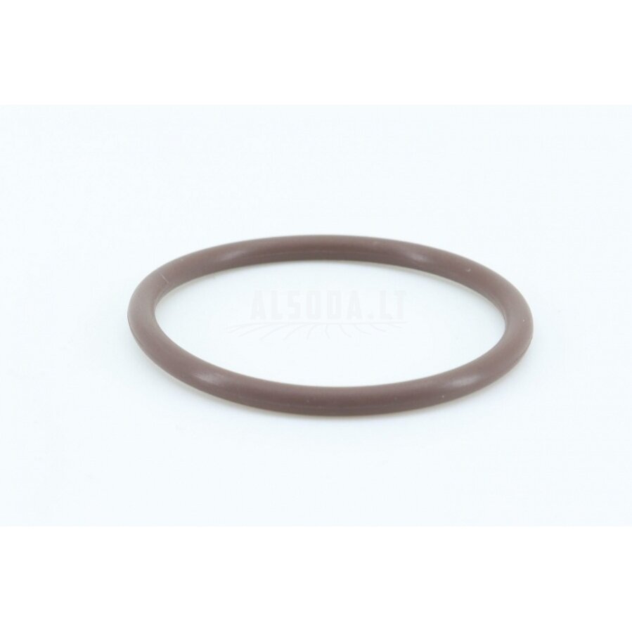 0800-062205 O-Ring 25x2