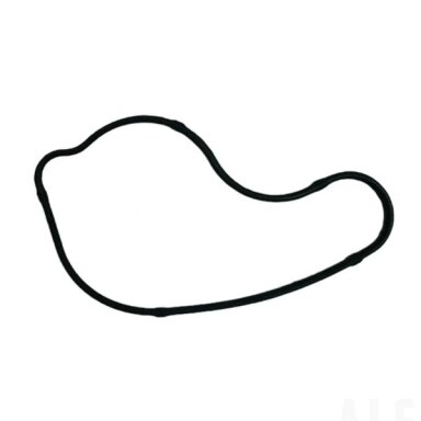0DM0-080003 SEAL RING, WATER PUMP COVER