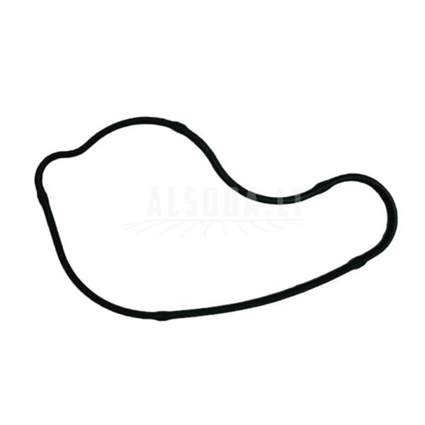 0DM0-080003 SEAL RING, WATER PUMP COVER 0DM0-080003 SEAL RING, WATER PUMP COVER