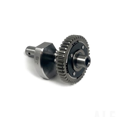 0GQ0-160000-00021 BALANCER SHAFT ASSY