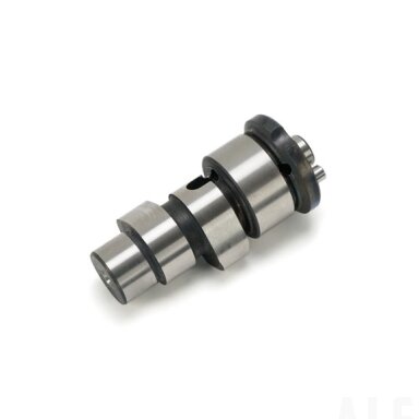0GSV-024010-3000 CAMSHAFT
