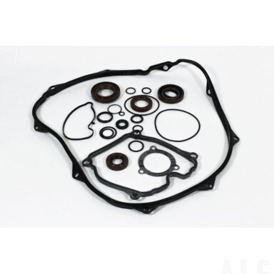 0JWA-0000A1 ENGINE OIL SEAL AND O-RING ENGINE, 2V91W-A