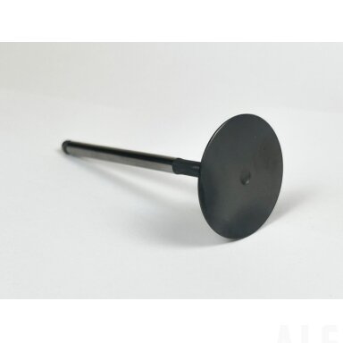 0JYV-022004-4000 INTAKE VALVE