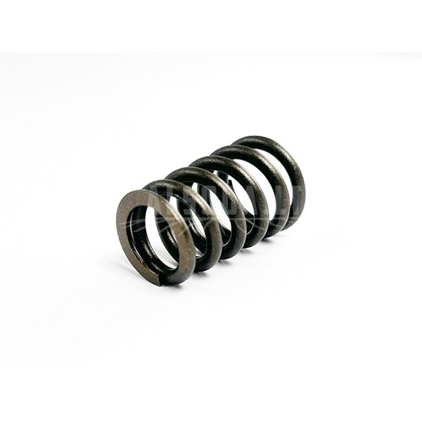 0JYV-022006-4002 0JYV-022006-4001 VALVE SPRING