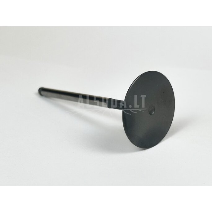 0JYV-022004-4000 INTAKE VALVE
