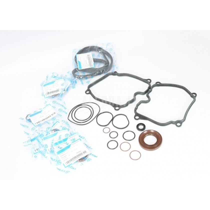 0JYA-0000A1 ENGINE OIL SEAL & O-RING 1000 cc