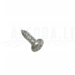 30110-420130010 Self tapping srew