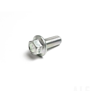 30001-102025810 BOLT M10x1.25x25