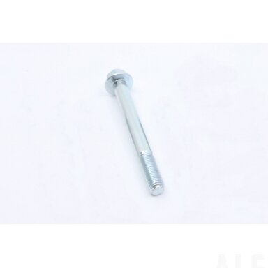 30001-102095110 BOLT