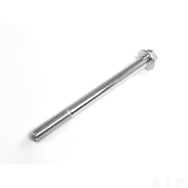 30001-102120110 BOLT M10x1.25x120