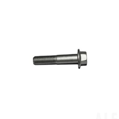 30001-122060160 BOLT M10x1.25x60