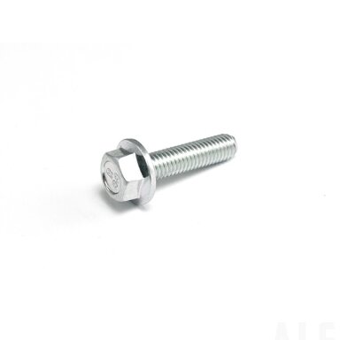 30006-050020810 BOLT