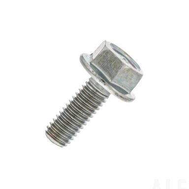 30006-060016810 BOLT M6x16M6x16