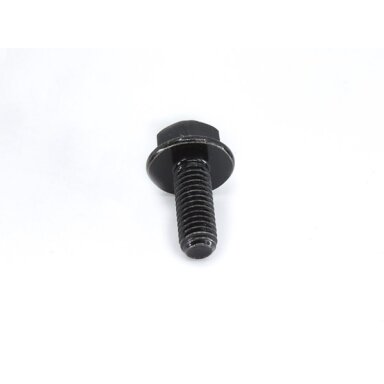 30006-060016870 BOLT