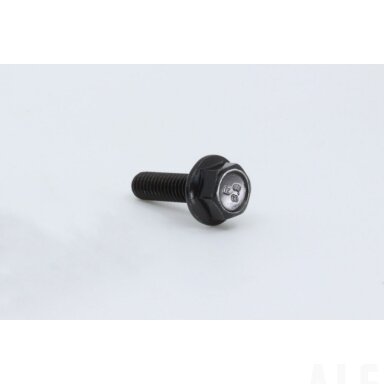 30006-060020870 BOLT M6x20M6x20