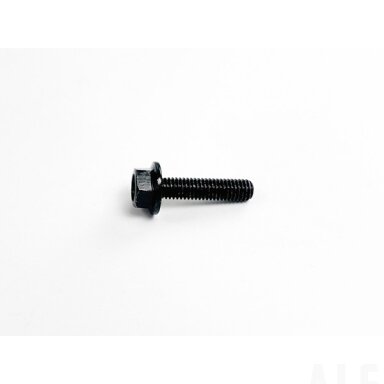 30006-060025870 bolt