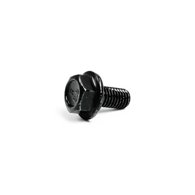 30006-080016870 BOLT
