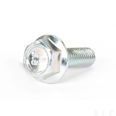 30006-080025810 bolt