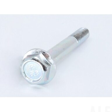 30006-080065810 BOLT M8x65M8x65