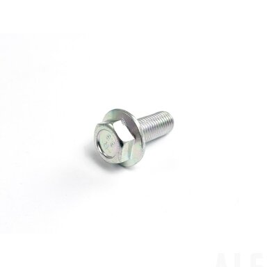 30006-102025810 Bolt
