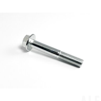 30006-102065810 BOLT