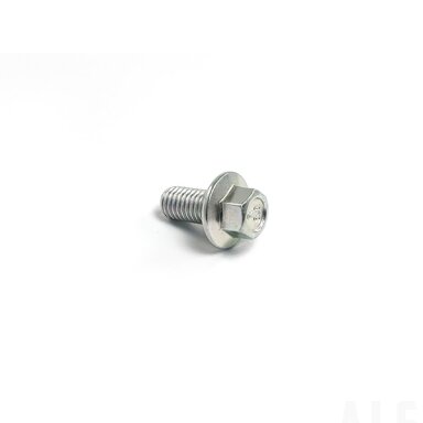 30023-080016810 BOLT