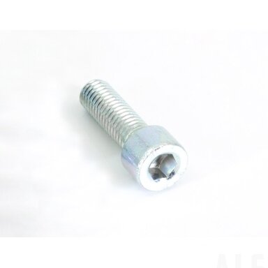30102-080025810 SCREW