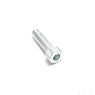30102-080030810 SCREW