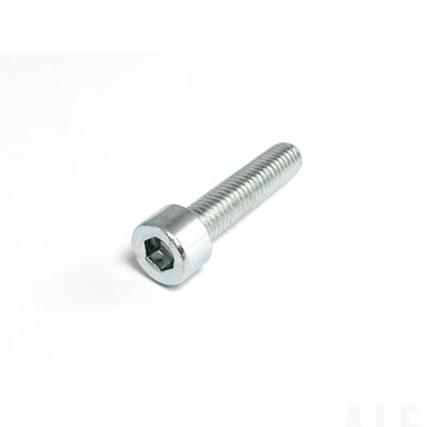 30102-080035810 SCREW