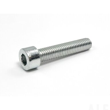 30102-080040810 SCREW