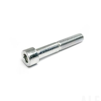 30102-102060810 SCREW M10x1.25x60