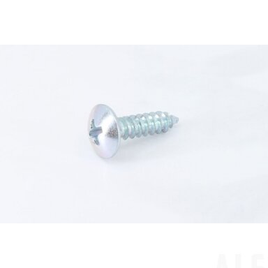 30110-420160010 SELF-TAPPING SCREW