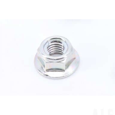 30204-080810 NUT M8