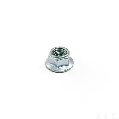 30204-122110 NUT